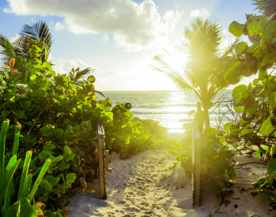 Casa Ixchel Tulum 6 Bedroom Beachfront Paradise
